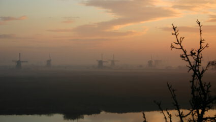 Windmill at a misty morning |  |