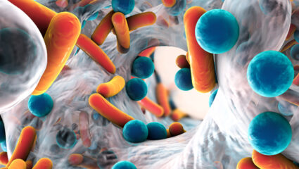 Microbiologische veiligheid