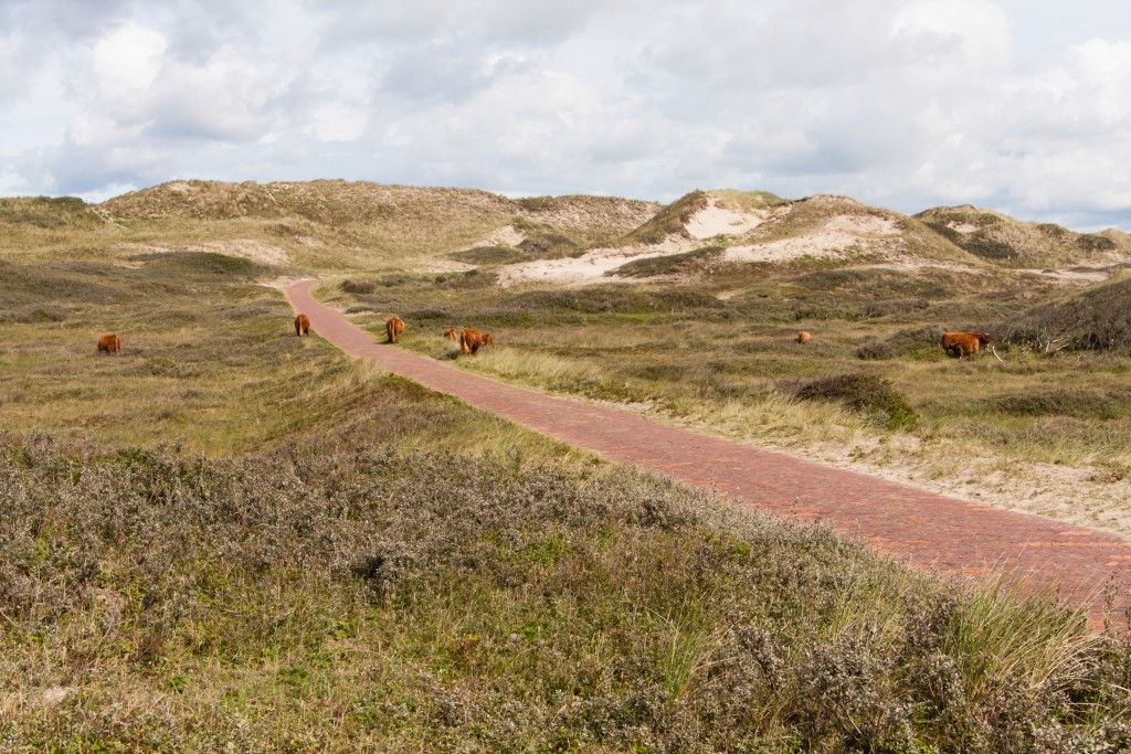 Noord-Hollands Duinreservaat