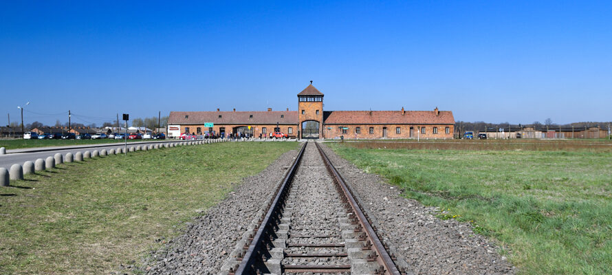 De ogen die Auschwitz zagen