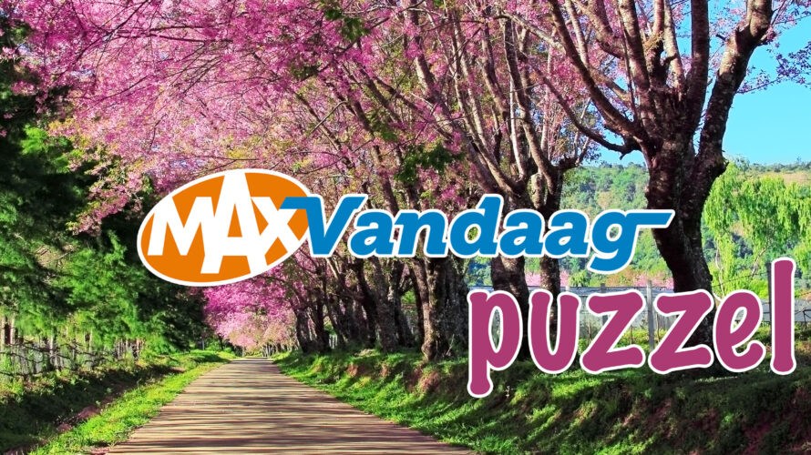 Beperkt zonne pomp MAX Vandaag puzzel: Maak dit vrolijke bospad compleet - MAX Vandaag