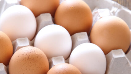 bruine en witte eieren