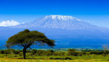 Kilimajaro