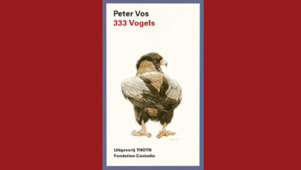 Peter Vos