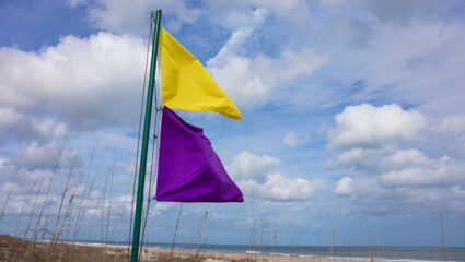 paarse vlag