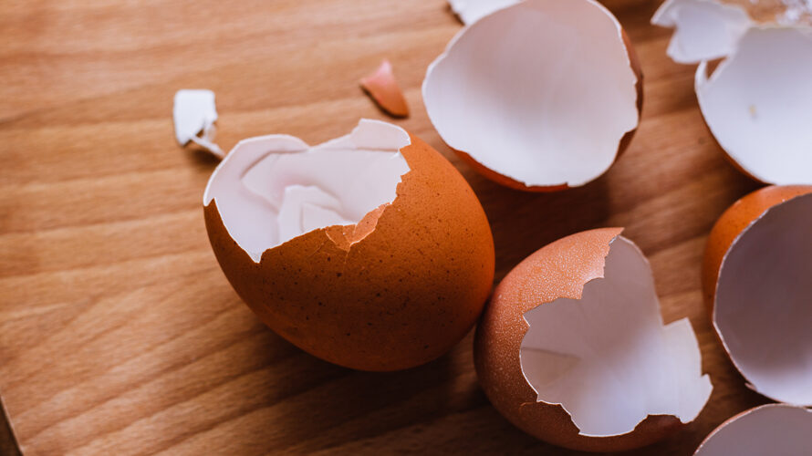 Helpt het eten van eierschalen voor sterkere botten? - MAX Vandaag